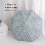 전자동 유화 꽃 우산의 그림