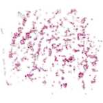 시계 액세서리 무브먼트용의 그림