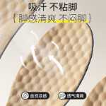 로퍼 깔창의 그림