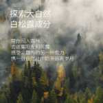 화이트 트러플 워터 밀크 안티 에이징 스킨 케어 세트의 그림