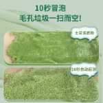 센텔라아시아티카 버블 마스크의 그림