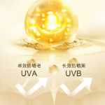 프랑스 란신 자외선 차단제의 그림