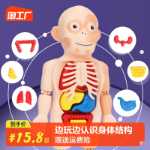 인체 구조 모델 의료 시뮬레이션 내장 해부학 장기 3D 탈착식 조립 몸통 어린이 과학 장난감의 그림