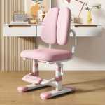 어린이 학습 의자는 조절 가능한 초등학생 앉아있는 숙제 좌석 책상 의자 등받이 의자를 들어 올릴 수 있습니다.의 그림