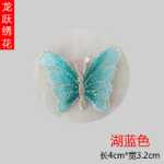 패션 나비 자수 핫 스탬핑 천 패치의 그림