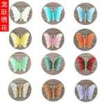 패션 나비 자수 핫 스탬핑 천 패치의 그림