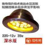 낚시 조명 물고기 수집의 그림