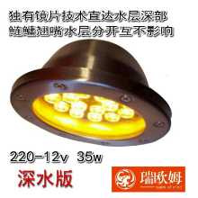 낚시 조명 물고기 수집의 그림