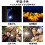 광선 조명의 그림