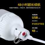 광선 조명의 그림