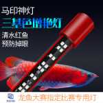 말 프린트 신 빛 붉은 용 물고기 빛 브론토 사우루스 보편적 인 색상 향상 다이빙 조명 수중 조명 어항 조명 LED 수족관 조명의 그림