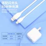 오리지널 정품 충전기 헤드의 그림