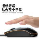 델 마우스의 그림