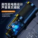 마이크 녹음 전문 오디오 북 더빙 특수 장비 콘덴서 마이크 휴대 전화 컴퓨터 라디오 마이크 세트의 그림