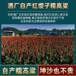 구이저우 간장 아로마 타입 53도 벌크 수수 순곡 베이스 와인 숙성 다쿠쿤샤 버블 와인 10kg 배럴 화이트 와인의 그림
