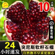 튀니지 소프트 씨 석류 10kg 과일 신선한 전체 상자 계절 계절 루비 후이리 씨없는 석류 包邮의 그림