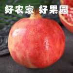 튀니지 소프트 씨 석류 10kg 과일 신선한 전체 상자 계절 계절 루비 후이리 씨없는 석류 包邮의 그림