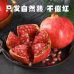 튀니지 소프트 씨 석류 10kg 과일 신선한 전체 상자 계절 계절 루비 후이리 씨없는 석류 包邮의 그림