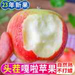 산시 레드 후지 사과 5 고양이 과일 신선한 시즌 광대 핑고 전체 상자 갈라 사과 아이싱 설탕 하트 包邮의 그림