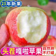 산시 레드 후지 사과 5 고양이 과일 신선한 시즌 광대 핑고 전체 상자 갈라 사과 아이싱 설탕 하트 包邮의 그림