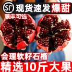 하일리 튀니지 석류 부드러운 씨앗 신선한 10 계절 과일 包邮 스팟 전체 상자 씨없는 큰 과일 사천 달콤한 진의 그림