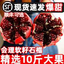 하일리 튀니지 석류 부드러운 씨앗 신선한 10 계절 과일 包邮 스팟 전체 상자 씨없는 큰 과일 사천 달콤한 진의 그림