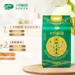 10월 벼 장립종 왕 향기로운 쌀 1.5kg 북동부 쌀 3kg 자포니카 쌀은 죽으로 만들 수 있습니다.의 그림