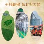 10월 벼 장립종 왕 향기로운 쌀 1.5kg 북동부 쌀 3kg 자포니카 쌀은 죽으로 만들 수 있습니다.의 그림