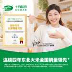 10월 벼 장립종 왕 향기로운 쌀 1.5kg 북동부 쌀 3kg 자포니카 쌀은 죽으로 만들 수 있습니다.의 그림