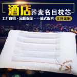 5성급 호텔 침구 퓨어 화이트 호텔 코튼 다운 베개 메밀 베개 건강 베개 코어 A의 그림