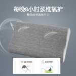 베개 진드기 방지 메모리 폼 경추 수면 보조 목 베개 호텔 기숙사 사계절 가정용 메모리 베개 A의 그림
