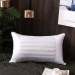 5성급 호텔 침구 화이트 다운 베개 코튼 깃털 방지 천 메밀 베개의 그림