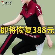 딱따구리 코튼 레저 정장의 그림