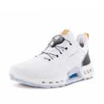 남성용 골프화의 그림