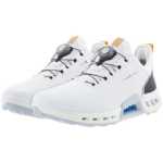 남성용 골프화의 그림