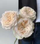 꽃 다발 직송의 그림