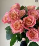 꽃 다발 직송의 그림