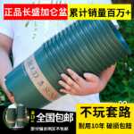 클래식 갤런 화분의 그림