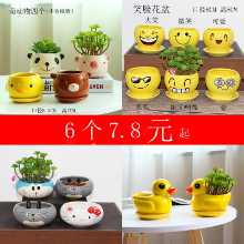 세라믹 화분의 그림