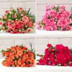 꽃 단지 어버이 날 꽃 부케직배송의 그림