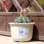 플라스틱 화분의 그림