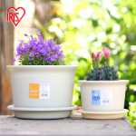 플라스틱 화분의 그림