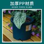 플라스틱 화분의 그림