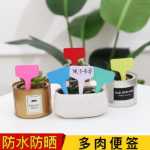 식물 원예 꽃 수박 포도 마킹의 그림