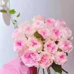 카푸치노 장미 윈난 쿤밍 발렌타인 데이 부케의 그림