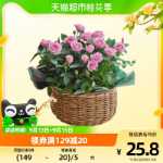 발렌타인 데이 꽃 패키지의 그림