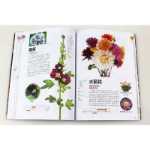 꽃과 꽃말 계절 꽃 키우기 재배 기술의 그림