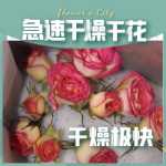 익스트림 꽃 건조제의 그림