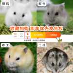 햄스터  예방 접종의 그림