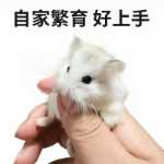 햄스터  예방 접종의 그림